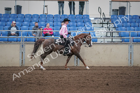 2019 Morgan Horse Show - Sept 01, 2019 - 07063