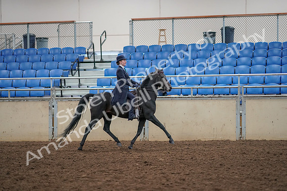 2019 Morgan Horse Show - Aug 30, 2019 - 12385