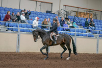 2020 - AB Morgan Horse - Sun, Sept 06 - 00883