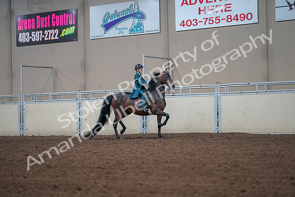 2019 Morgan Horse Show - Aug 30, 2019 - 17994