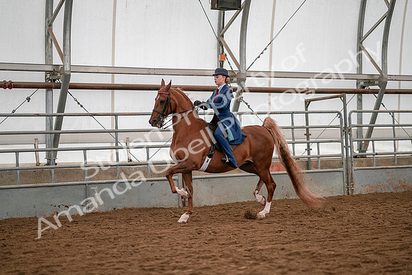 July 19, 2019 - 10352
