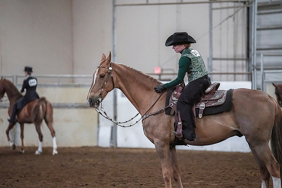 Spring Fling - Saturday - April 20, 2019  -  03898