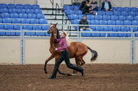 2020 - AB Morgan Horse - Sat, Sept 05 - 00544