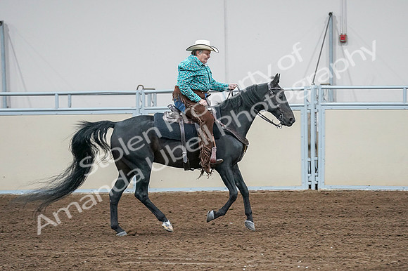 2020 - AB Morgan Horse - Fri, Sept 04 - 00613