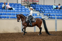 2020 - AB Morgan Horse - Sat, Sept 05 - 08882