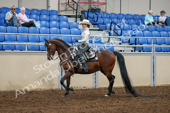 2020 - AB Morgan Horse - Sat, Sept 05 - 08882
