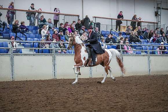 Spring Fling - Saturday - April 20, 2019  -  00649