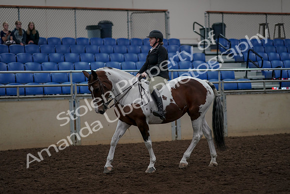 2019 Morgan Horse Show - Aug 30, 2019 - 31122