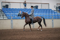 2019 Morgan Horse Show - Sept 01, 2019 - 06225