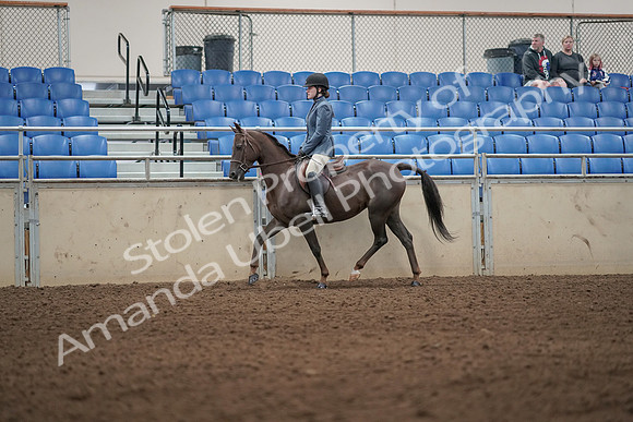 2019 Morgan Horse Show - Aug 31, 2019 - 04897
