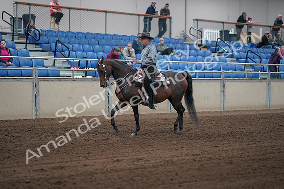 2019 Morgan Horse Show - Sept 01, 2019 - 06781