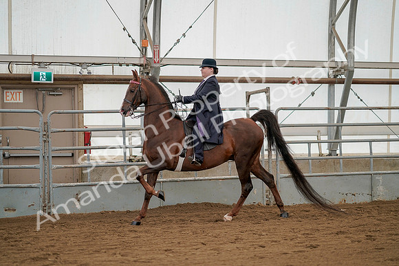 July 20, 2019 - 02237