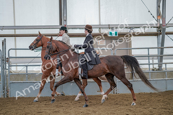 July 20, 2019 - 14597