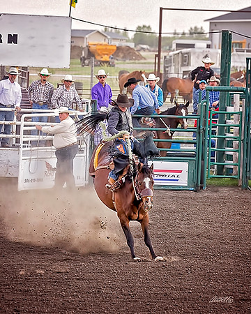 rodeo - 033