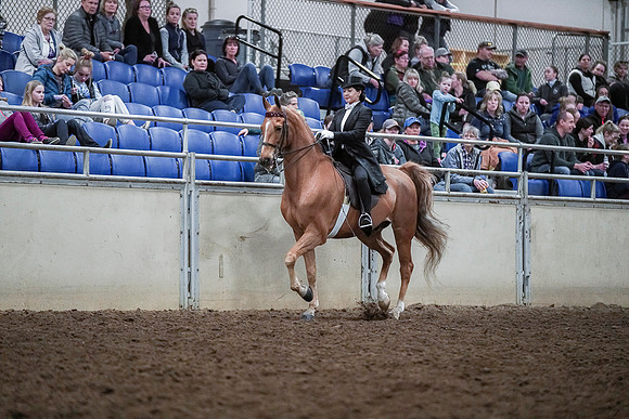 Spring Fling - Saturday - April 20, 2019  -  04343