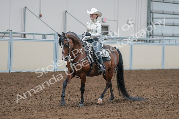 2020 - AB Morgan Horse - Sat, Sept 05 - 09019