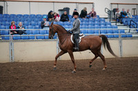 2019 Morgan Horse Show - Aug 31, 2019 - 13776