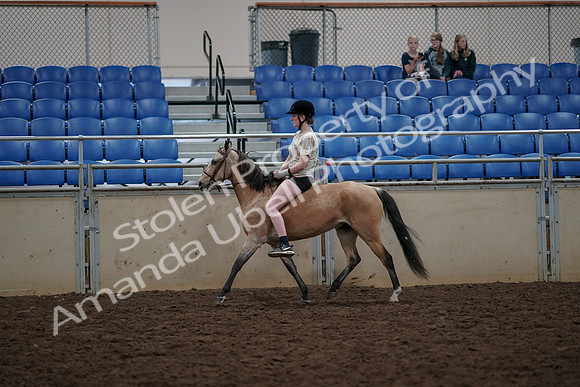 2019 Morgan Horse Show - Aug 30, 2019 - 31075