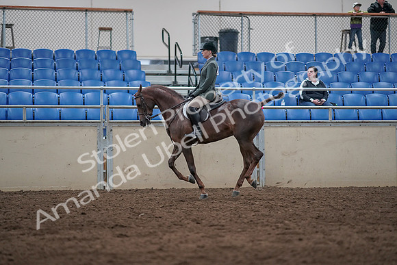 2019 Morgan Horse Show - Sept 01, 2019 - 08691