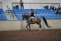 2019 Morgan Horse Show - Aug 31, 2019 - 15858