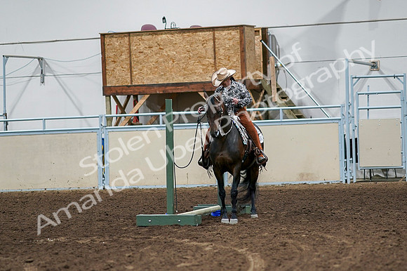 2020 - AB Morgan Horse - Fri, Sept 04 - 00357