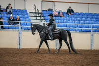 2020 - AB Morgan Horse - Sat, Sept 05 - 08872
