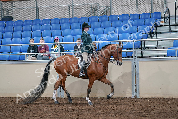 2020 - AB Morgan Horse - Sat, Sept 05 - 05184
