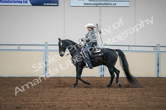 2020 - AB Morgan Horse - Fri, Sept 04 - 03616