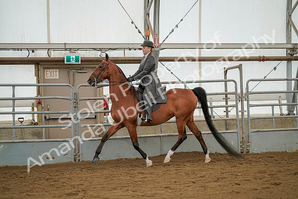 July 20, 2019 - 02313