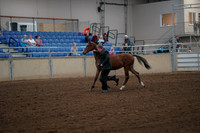 2019 Morgan Horse Show - Aug 30, 2019 - 25534