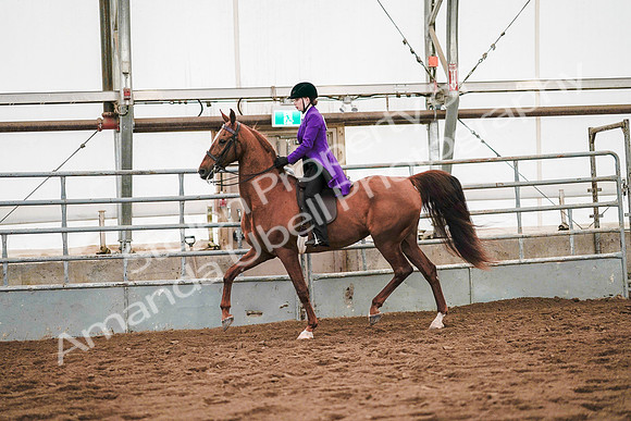 July 20, 2019 - 21596