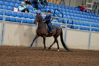2020 - AB Morgan Horse - Fri, Sept 04 - 03625