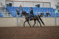2019 Morgan Horse Show - Aug 30, 2019 - 15286