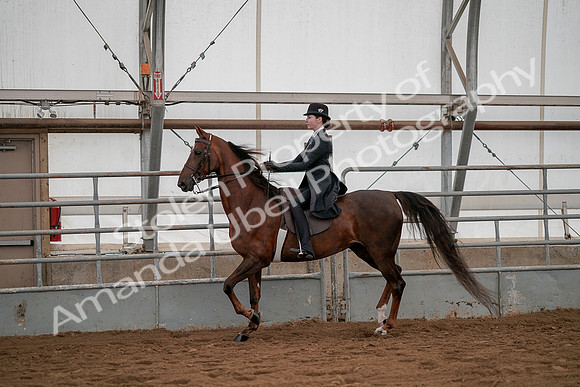 July 19, 2019 - 3004
