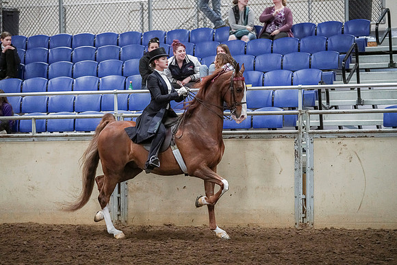 Spring Fling - Saturday - April 20, 2019  -  04392