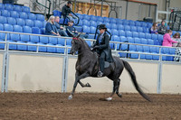 2020 - AB Morgan Horse - Sat, Sept 05 - 00818
