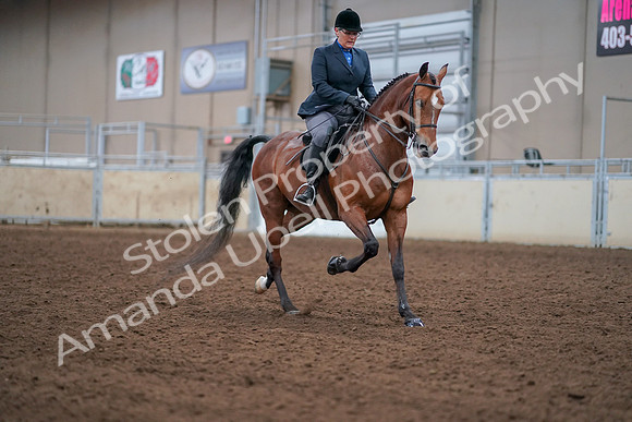 2019 Morgan Horse Show - Aug 30, 2019 - 20887