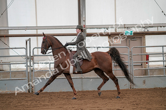 July 20, 2019 - 02028