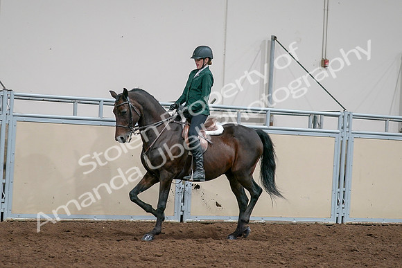 2020 - AB Morgan Horse - Sat, Sept 05 - 05043