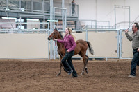 2020 - AB Morgan Horse - Sat, Sept 05 - 00466