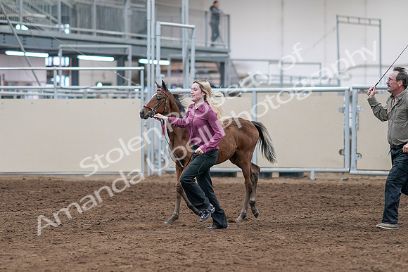 2020 - AB Morgan Horse - Sat, Sept 05 - 00466