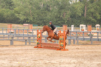 chesnut, stripe, female rider, august 17