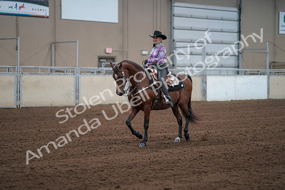 2019 Morgan Horse Show - Sept 01, 2019 - 07205