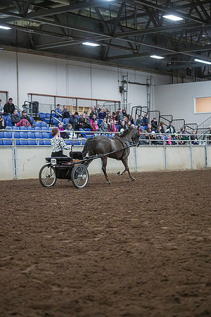 Spring Fling - Saturday - April 20, 2019  -  00274