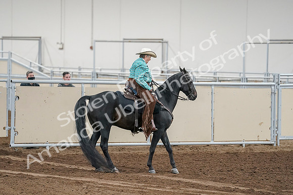 2020 - AB Morgan Horse - Fri, Sept 04 - 00526