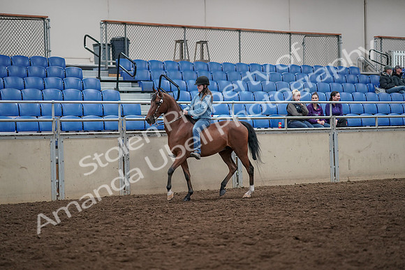 2019 Morgan Horse Show - Aug 30, 2019 - 31088