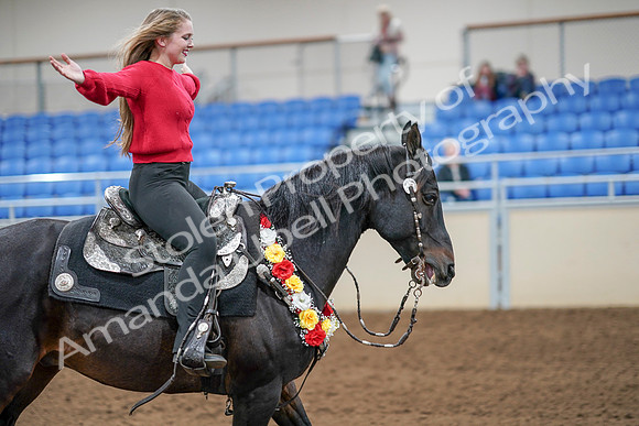 2020 - AB Morgan Horse - Sat, Sept 05 - 10567