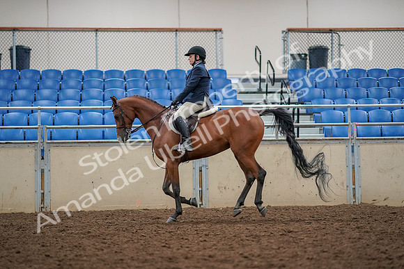 2019 Morgan Horse Show - Aug 30, 2019 - 22364