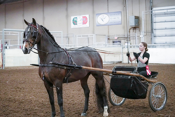 Spring Fling - Saturday - April 20, 2019  -  00319