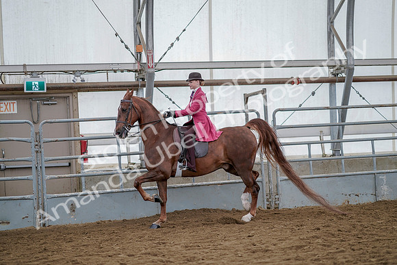 July 20, 2019 - 14501